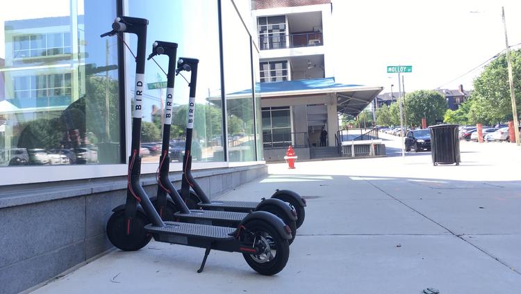 Electric Scooters are Convenient if Used Safely